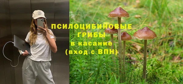 jwh Бородино