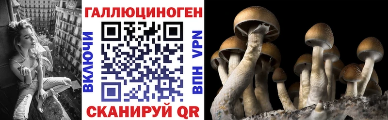 Псилоцибиновые грибы Cubensis  Купить закладки  Лаишево 